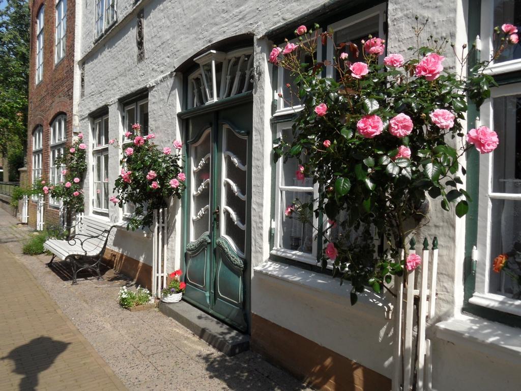 Ferienwohnung Am Mittelburgwall 프리드리히슈타트 외부 사진